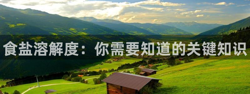 威九国际官网在线进入网站查询