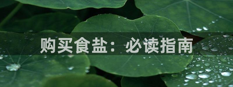 威九国际网站登录