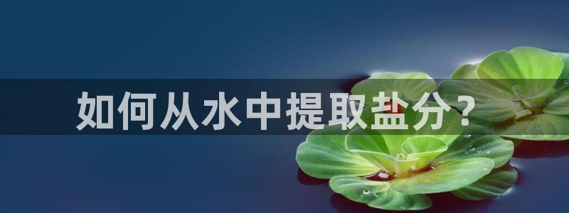 威九国际女神