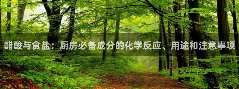 保定威九网络科技有限公司电话