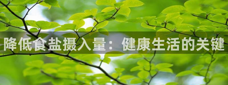 威九国际网站经常打不开怎么办