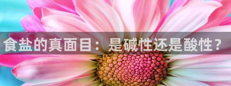 威九国际网站入口rdquo
