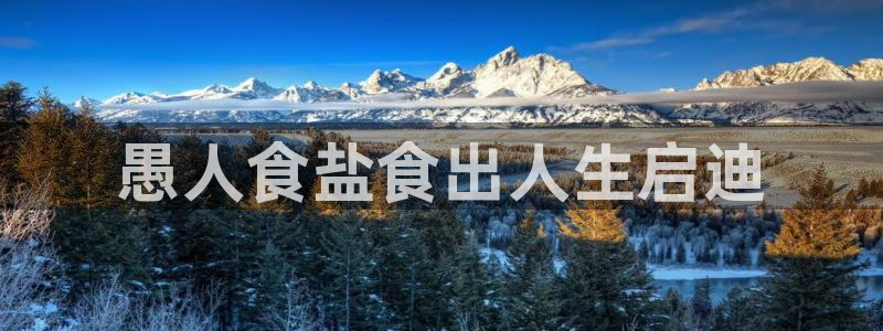 威九国际网站链接