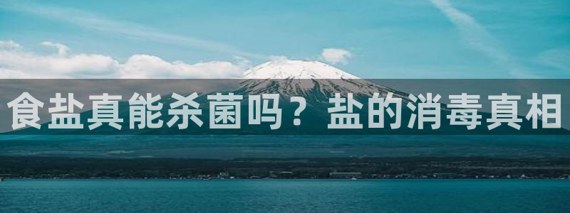 威九国际入囗