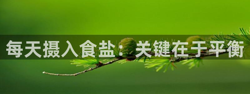 威九国际78m-MBA智库百科