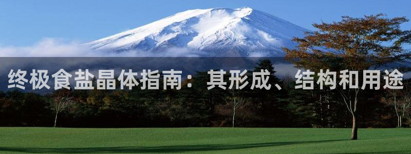 威九国际66m66