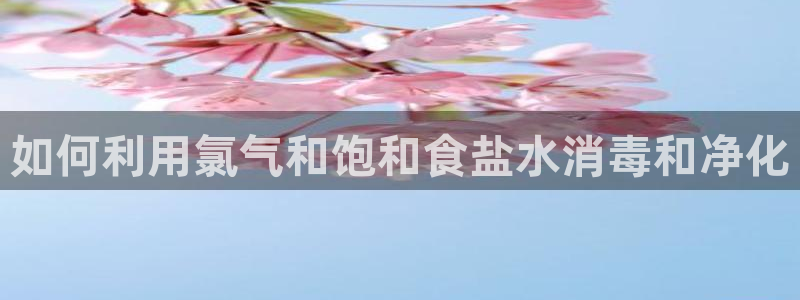 威九国际坑人的嘛