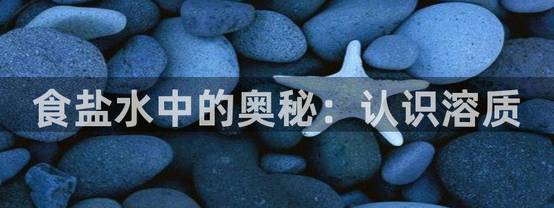 威九国际网站更新