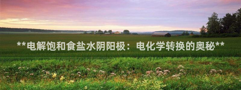 威九国际AN