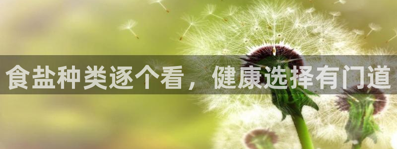 威九国际狂飚电影