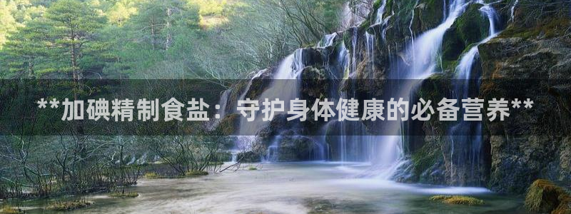 威九国际v96BET