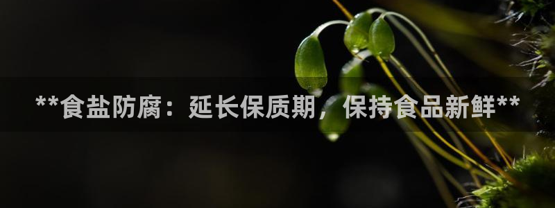 威九国际系列