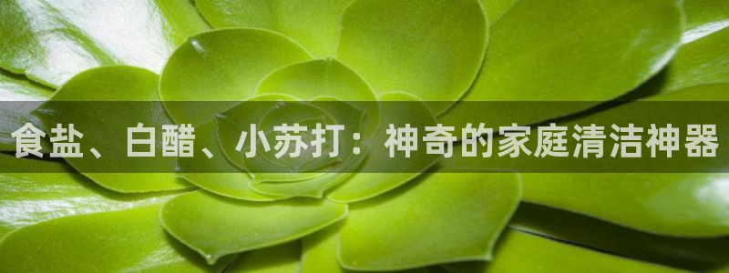 威九国际地址