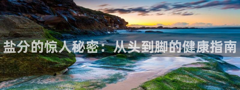 威九国际网站怎么样可靠吗