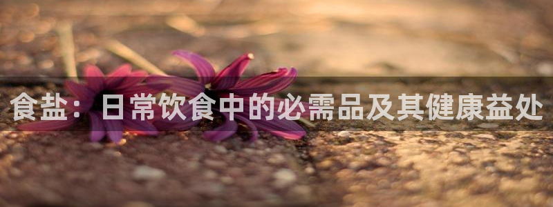 威九国际78m域名