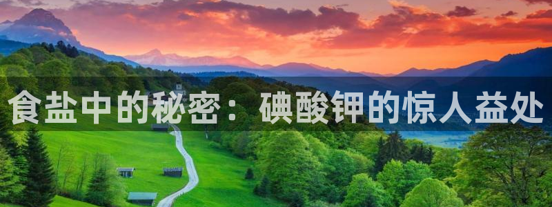 威九国际FF