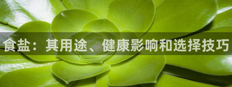 威九国际集团66m一6
