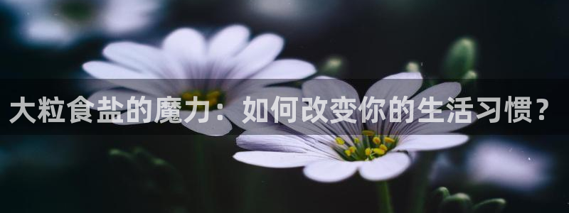 威九国际集团66m一6在线