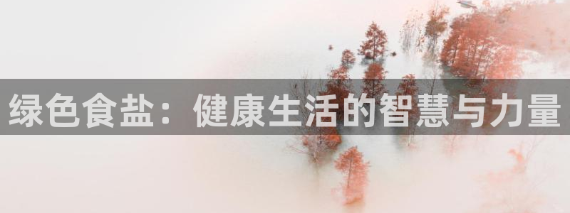 威九国际旗下艺人