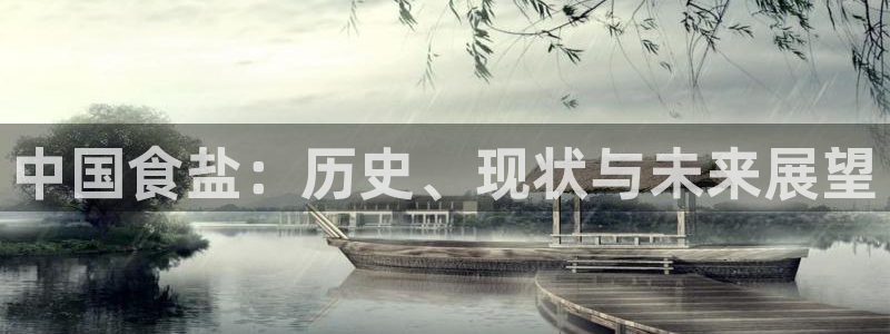 威九国际空降服务怎么样