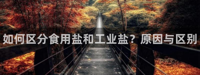威九国际精选酒店地址