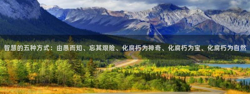 66m威九国际精选