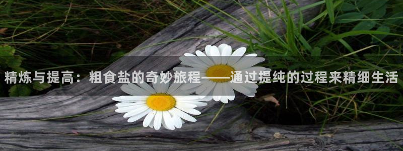 威九国际A
