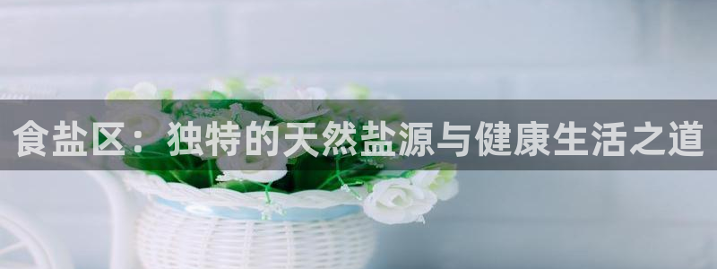 保定威九网络科技有限公司电话