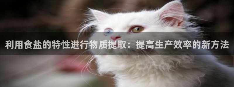 保定威九网络科技有限公司是干嘛的