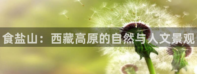 威九国际免费版