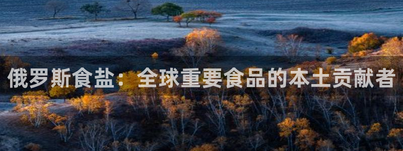 保定威九网络科技有限公司是干嘛的