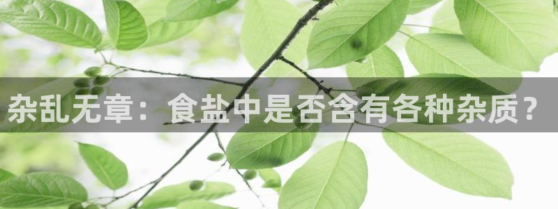 威九国际网站为什么不禁止