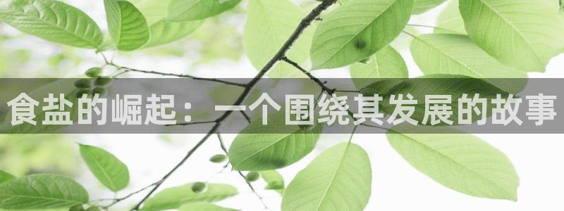 威九国际女星