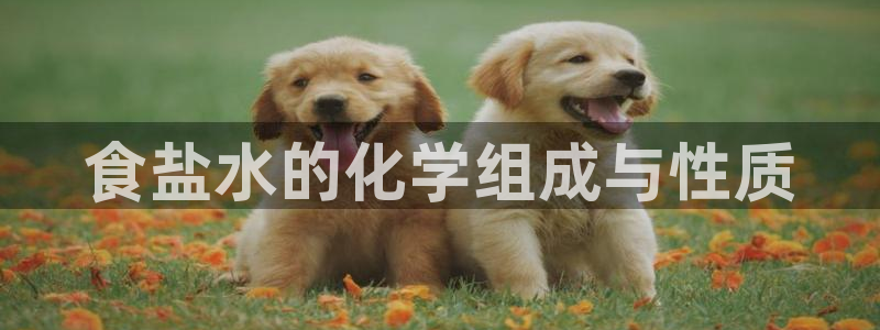 威九国际留学