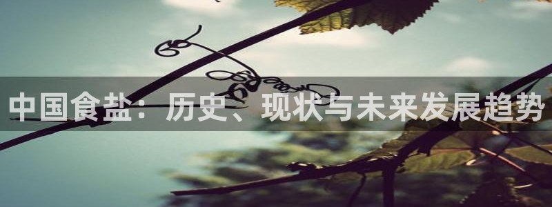 保定威九网络科技有限公司