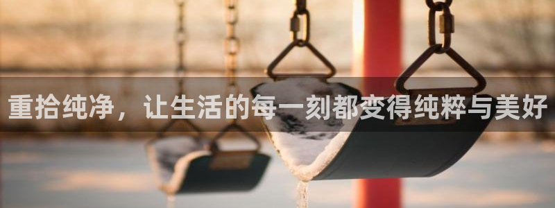 威九国际网站入口官网首页