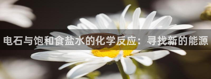 威九国际最近的视频
