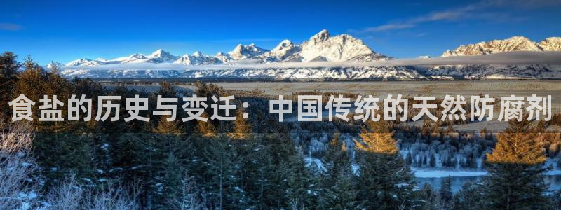 威九国际FF