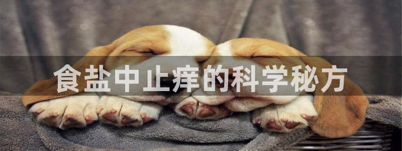 威九国际免费