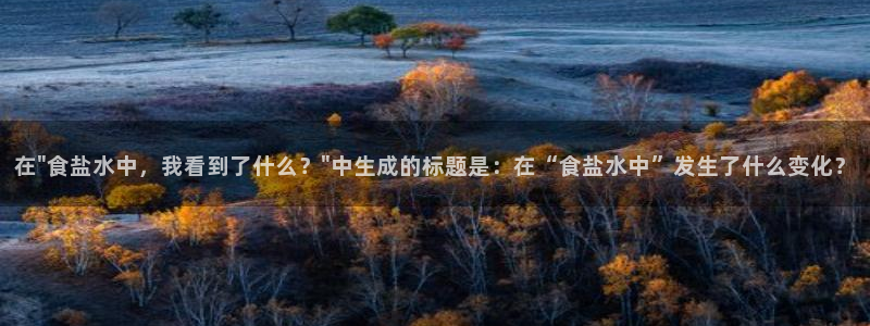 威九国际网站进入产品中心怎么进