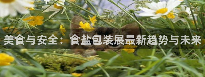 威九国际可以赚到钱