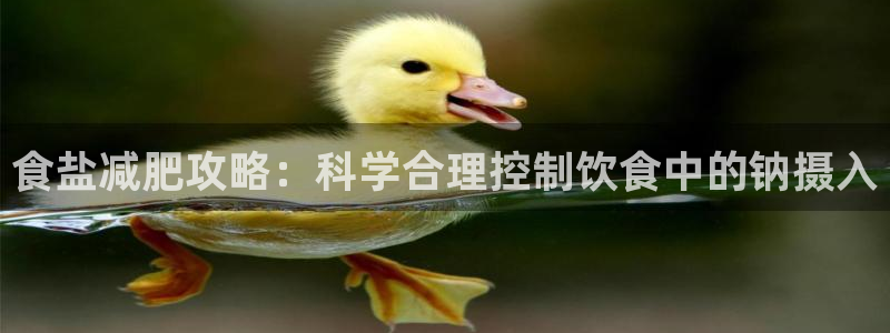 威九国际Sxsx