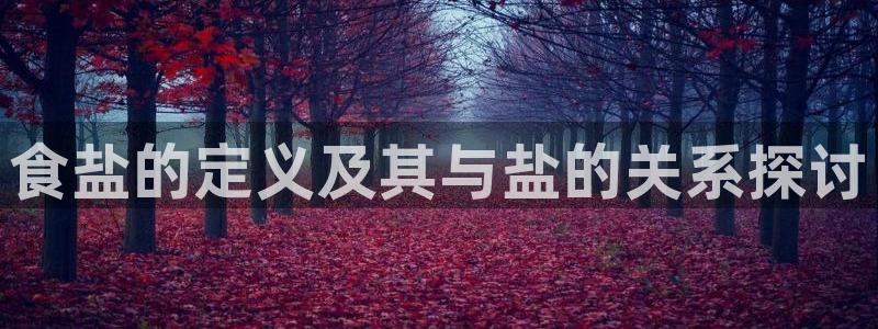 威九国际精