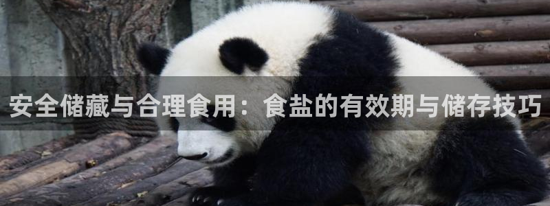 威九国际新