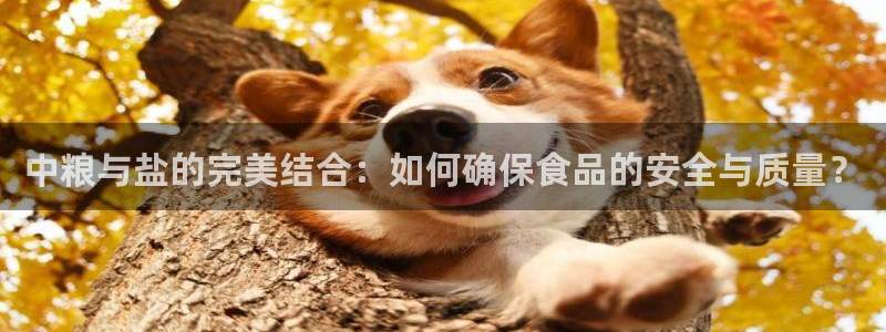威九国际女明星：中粮与盐的完美结合：如何确保食品的安全与质量