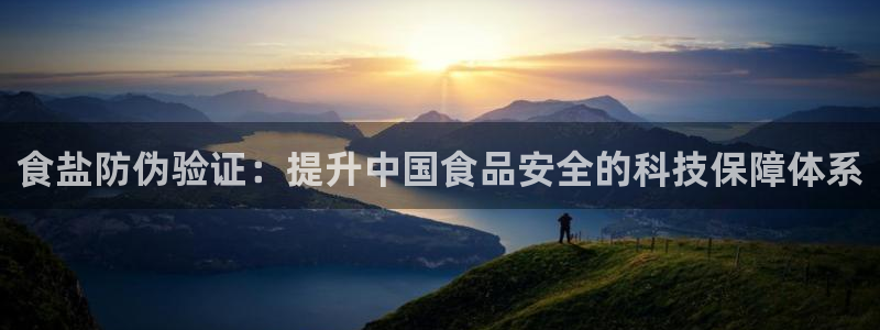 保定威九网络科技有限公司电话