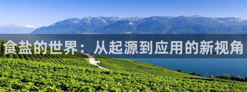 威九国际网站入口官网免费