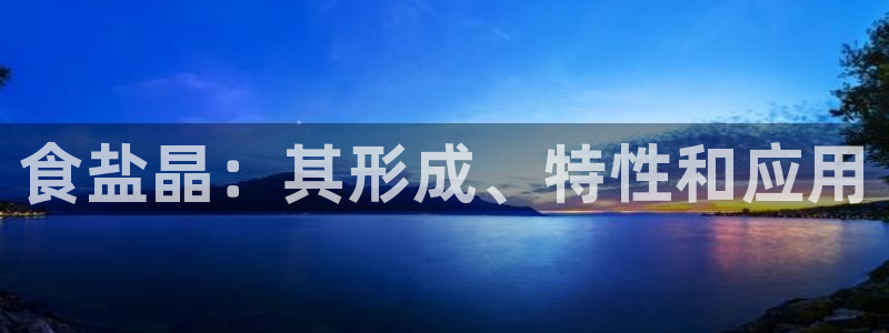 威九国际网站登录