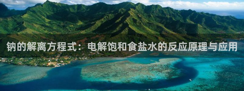 威九国际官网登录入口网站