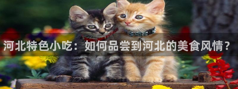 威九国际能提现吗现在